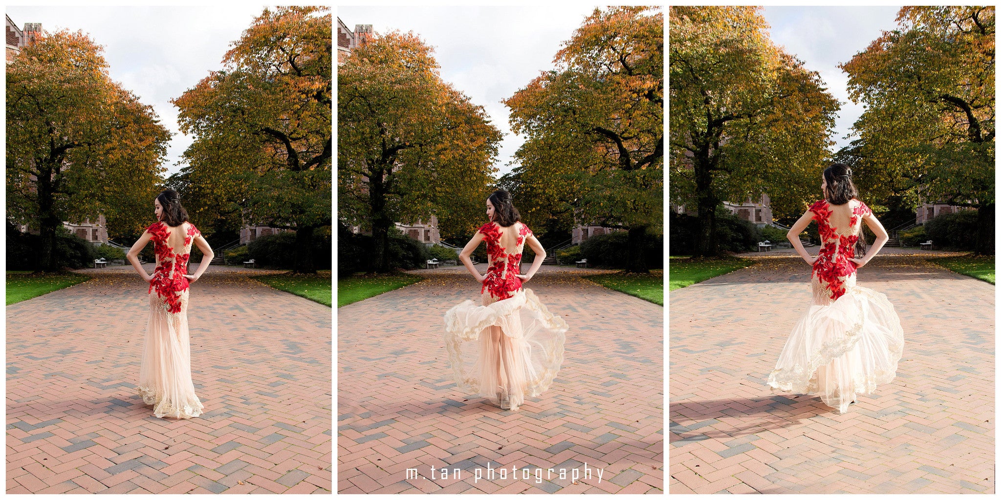 Sexy Tulle Beige Evening Gown with All Over Red Embroidery (#Vivien )