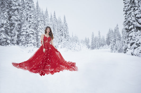 Long Sleeve Couture Ball Gown (#FA16200) - Dream Dresses by P.M.N
- 1