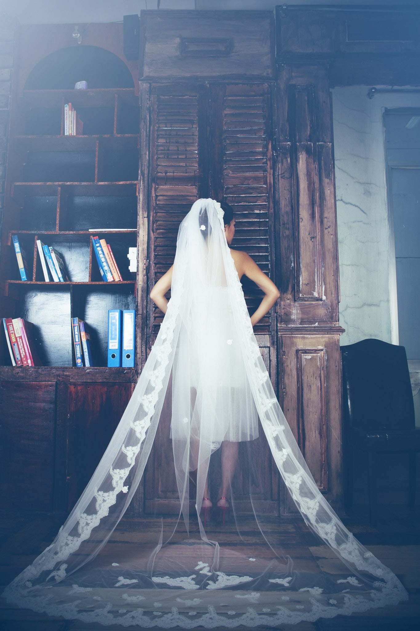 One-tier Cathedral Length Veil With Lace Appliqué Edge (#PB100) - Dream Dresses by P.M.N
- 1