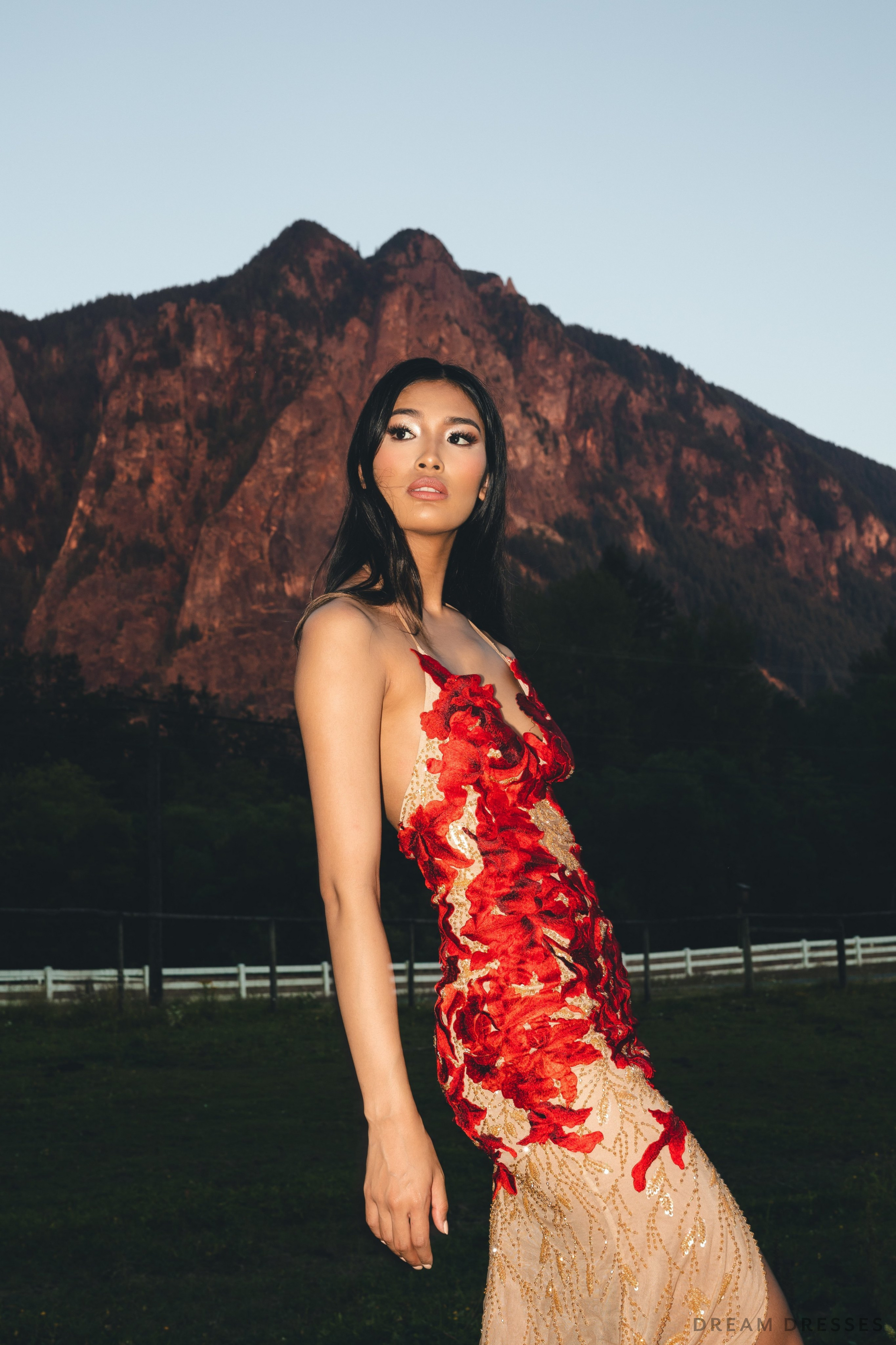 Red Evening Gown with Custom Embroidery (#LILIANE) - Dream Dresses by P.M.N.