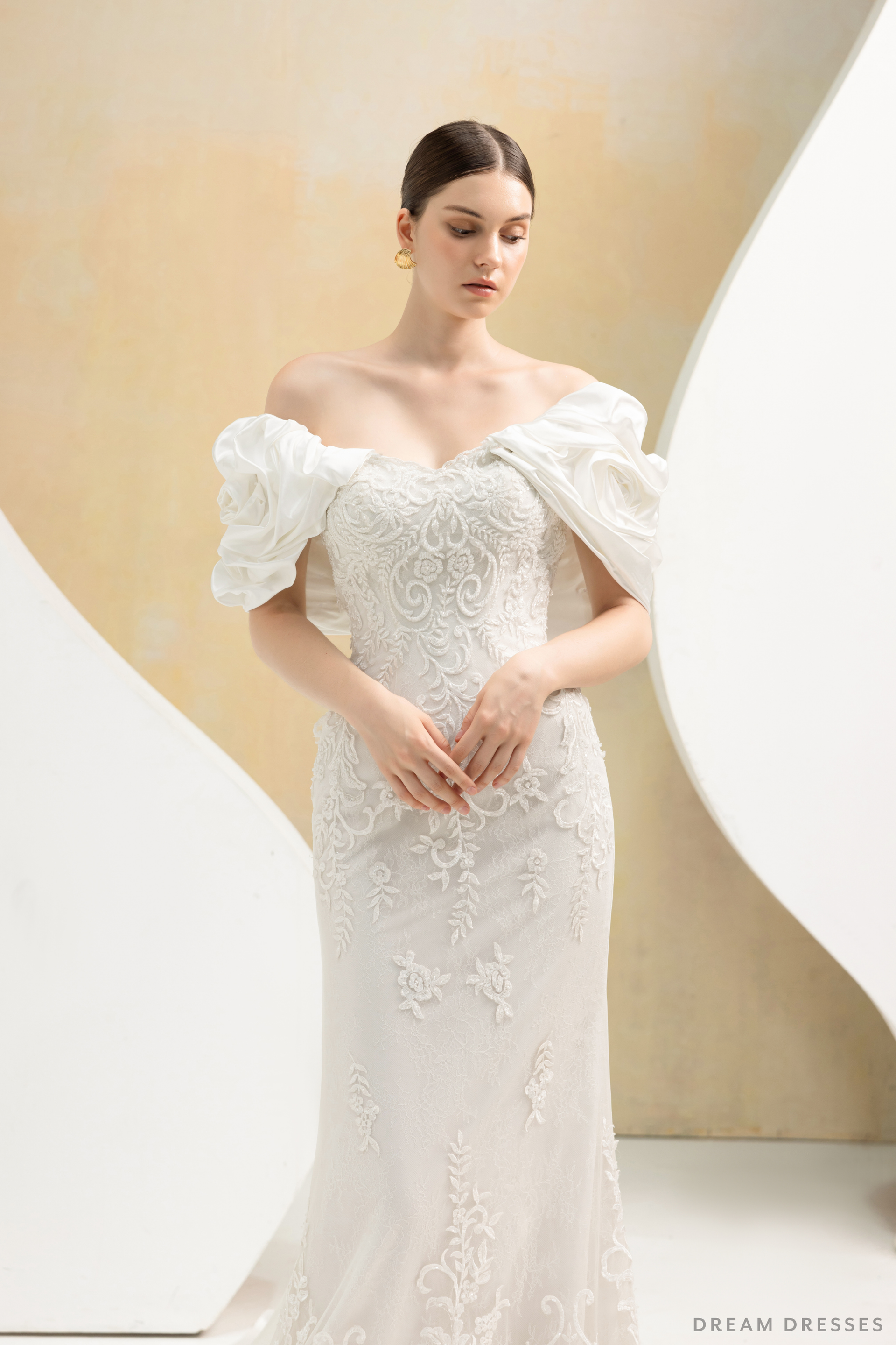 Removable Sleeves with Train for Wedding Dress (#LOUVRE) - Dream Dresses by P.M.N.