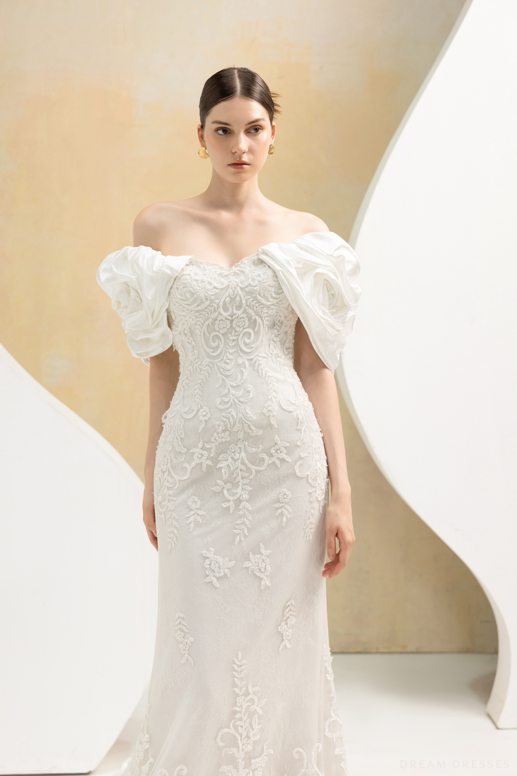Removable Sleeves with Train for Wedding Dress (#LOUVRE)