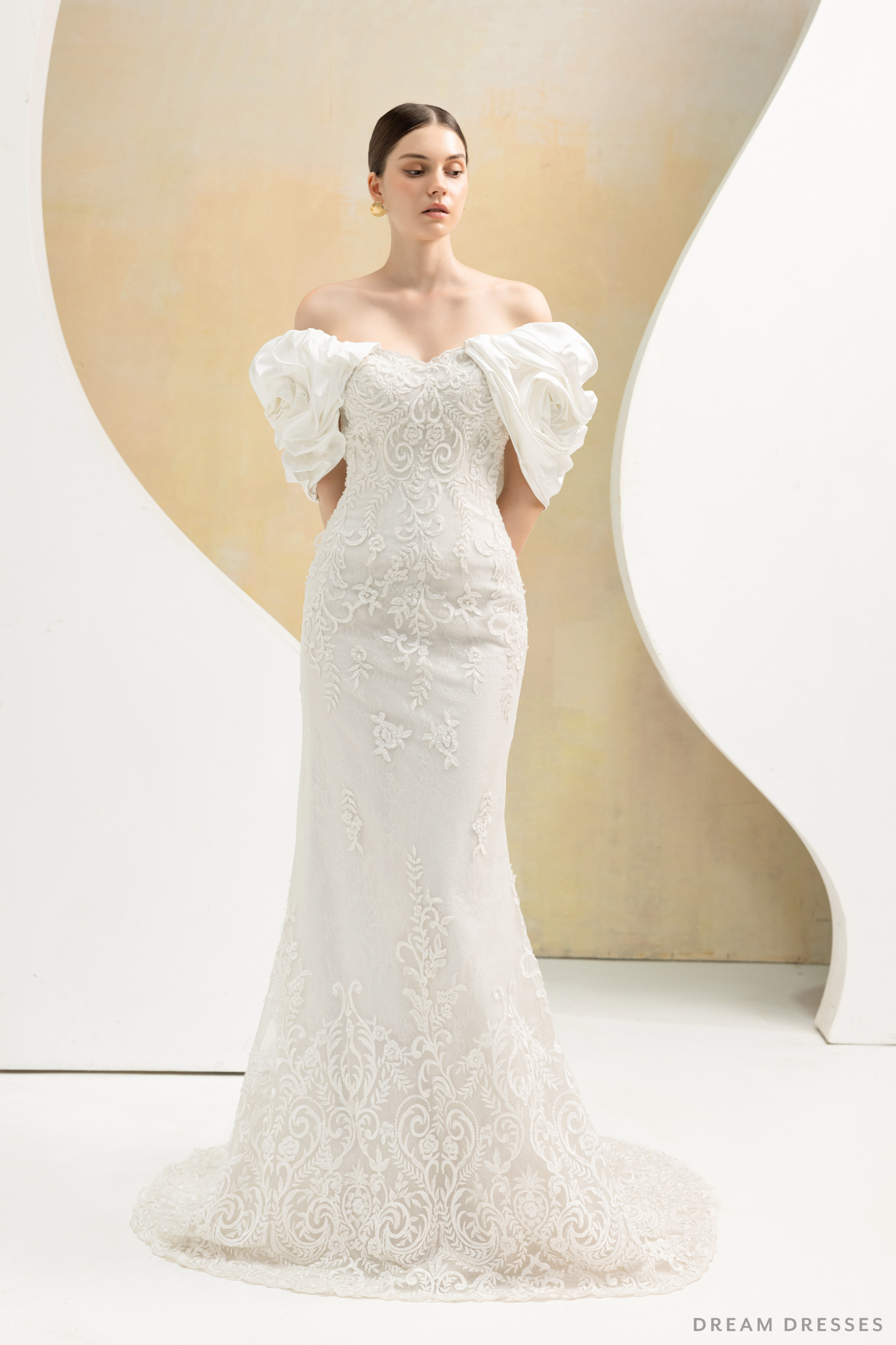 Removable Sleeves with Train for Wedding Dress (#LOUVRE) - Dream Dresses by P.M.N.
