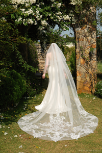 Cathedral Length Wedding Veil with Blushe (#SARA) - Dream Dresses by P.M.N.