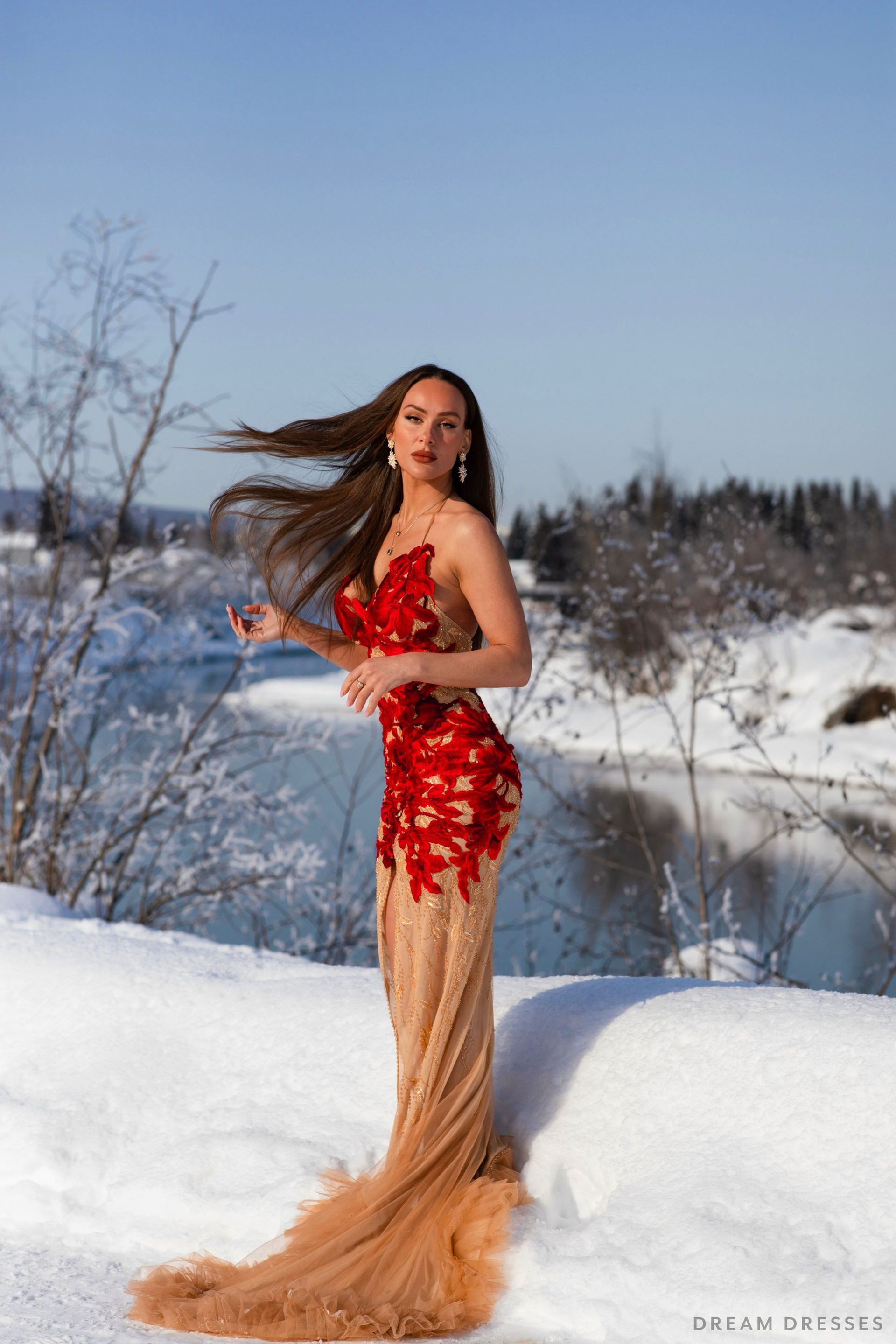 Red Evening Gown with Custom Embroidery (#LILIANE) - Dream Dresses by P.M.N.