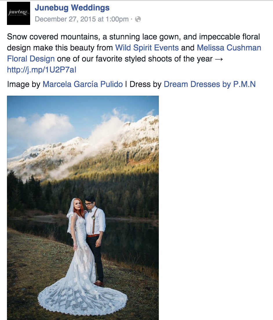 Dream Dresses by P.M.N.