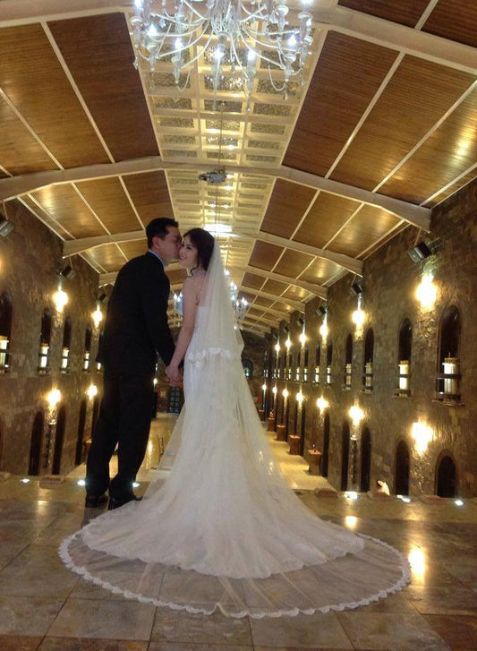 Two-tier Cathedral Length Veil with Embellished Alencon Lace - Dream Dresses by P.M.N
 - 1