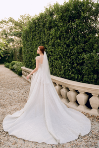 Royal Ballgown Wedding Dress with Crystal Embellishments (#CERIDWEN) - Dream Dresses by P.M.N.