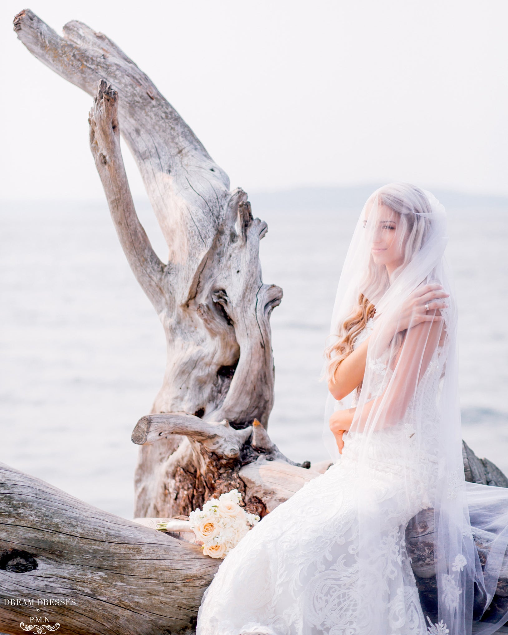 Waltz Length Veil with Lace Appliqué (#Alysia) - Dream Dresses by P.M.N.