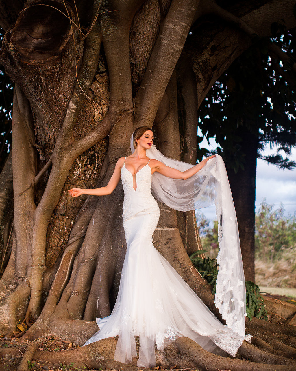 Bridal Veil With Lace Trim (#Dinah)
