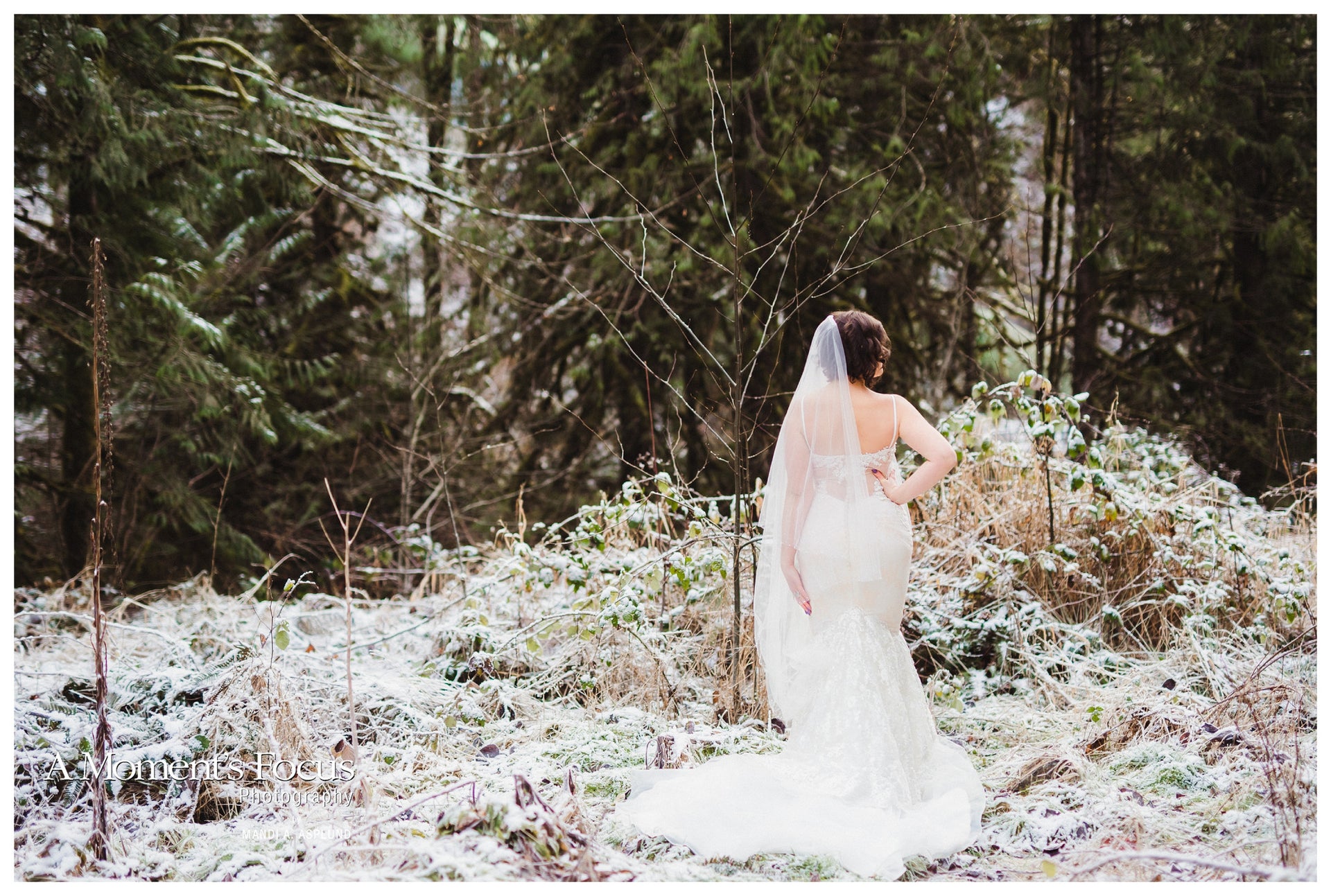Lace Trumpet Spaghetti Strap Wedding Dress (#Sasha) - Dream Dresses by P.M.N.