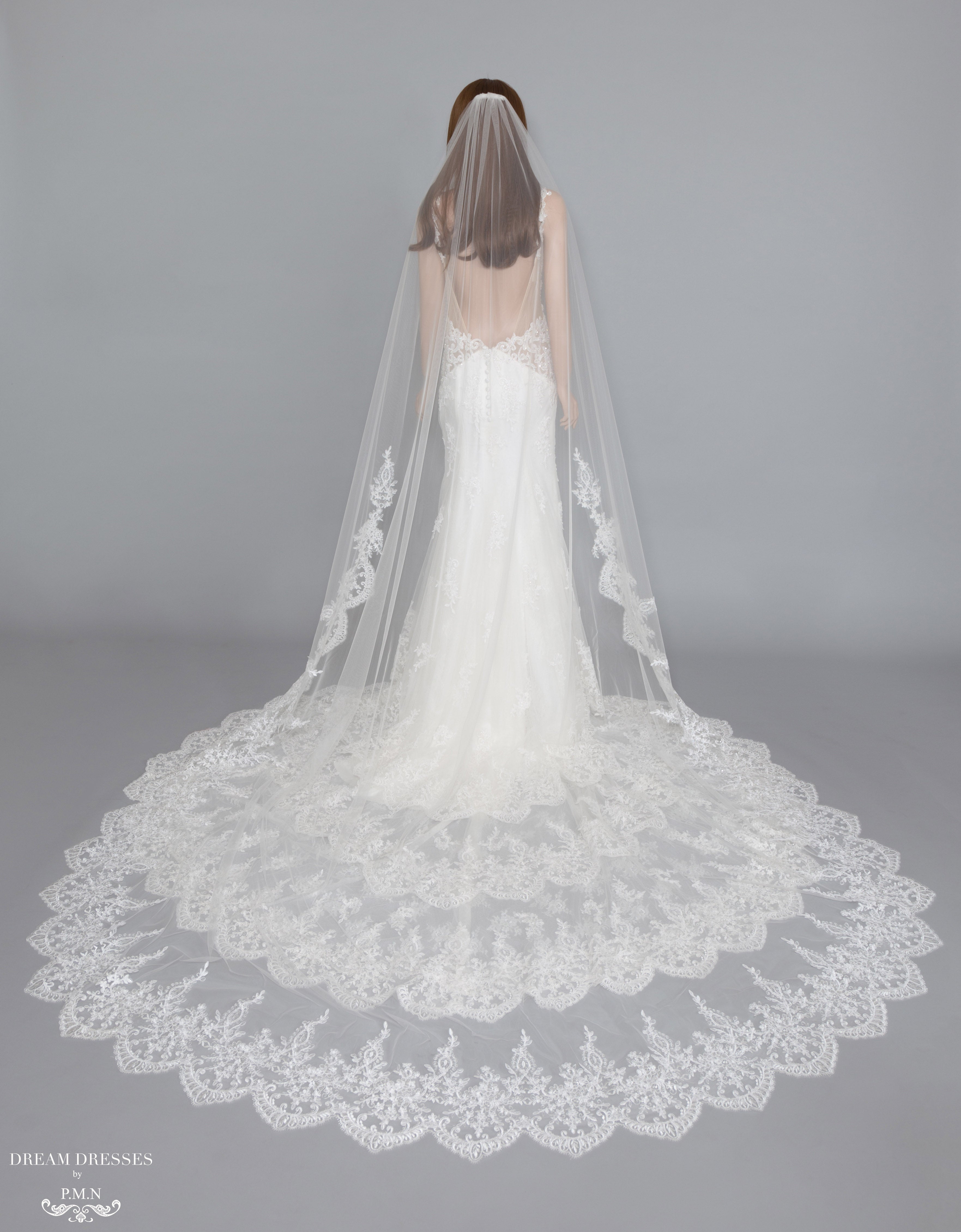 Lace Trim Bridal Veil (#Diantha)