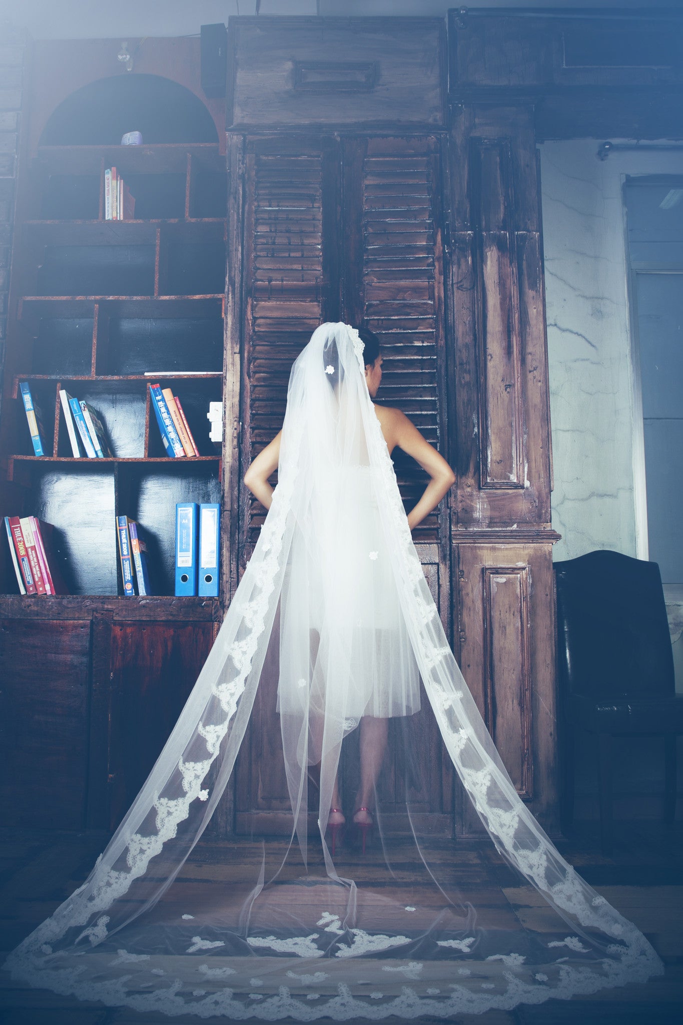 One-tier Cathedral Length Veil With Lace Appliqué Edge (#PB100) - Dream Dresses by P.M.N
 - 1