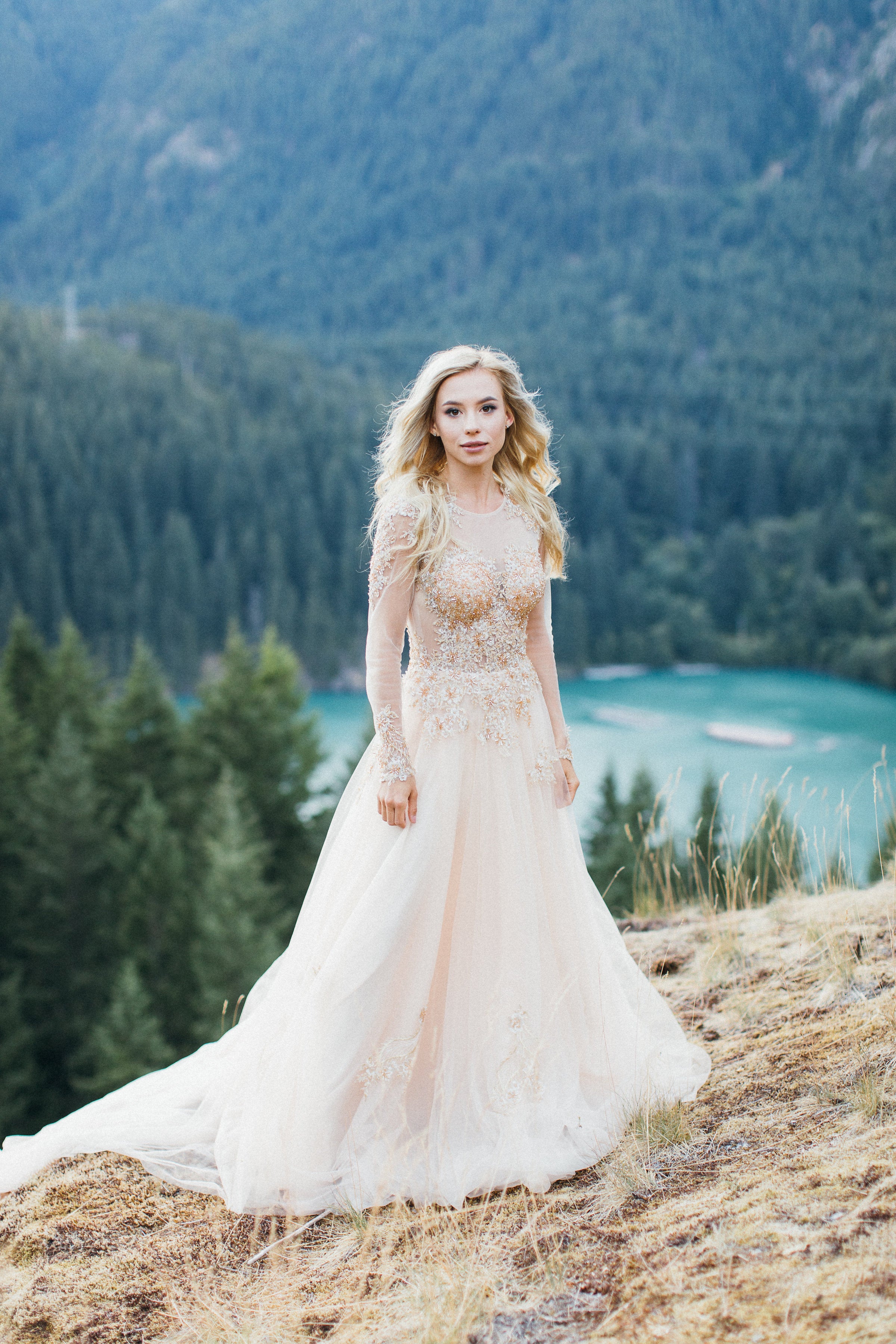 DreamDress By PMN Ariel Princess Ball Wedding Dress Gown Champagne Gold Illusion Neckline Beadings Floral Embellishment Chapel Train | Size: Custom DreamDress By PMN Ariel Princess Ball Wedding Dress Gown Champagne Gold Illusion Neckline Beadings Floral Embellishment Chapel Train | Size: Custom