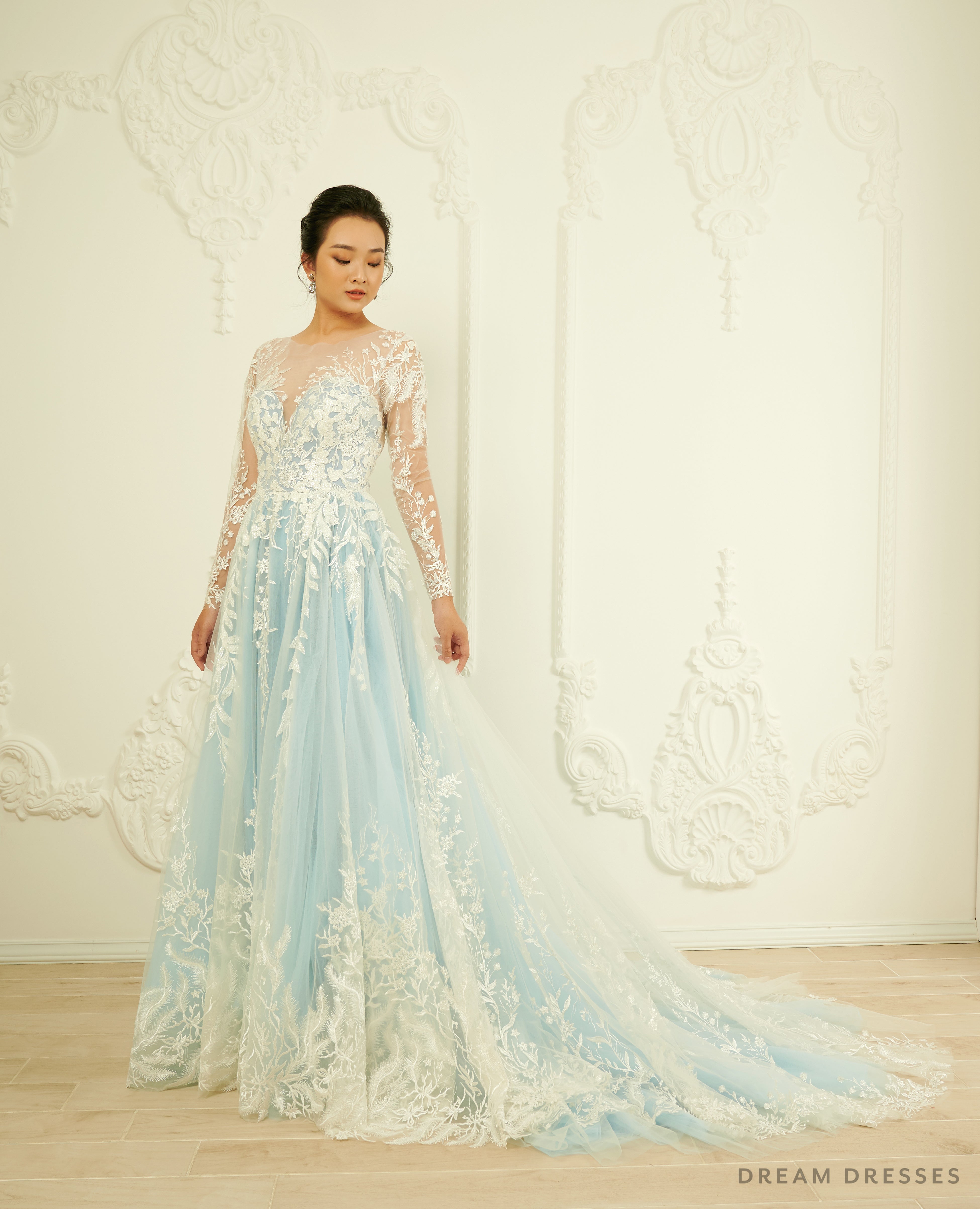 DreamDress By PMN Madeleine A-Line Wedding Dress Gown Illusion Neckline Floral Embellishments Chapel Long Sleeves | Size: Custom DreamDress By PMN Madeleine A-Line Wedding Dress Gown Illusion Neckline Floral Embellishments Chapel Long Sleeves | Size: Custom