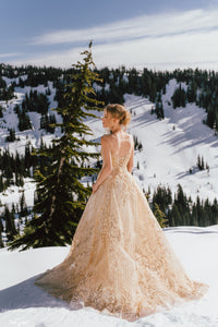 Gold Ball Gown (#Theia) - Dream Dresses by P.M.N.