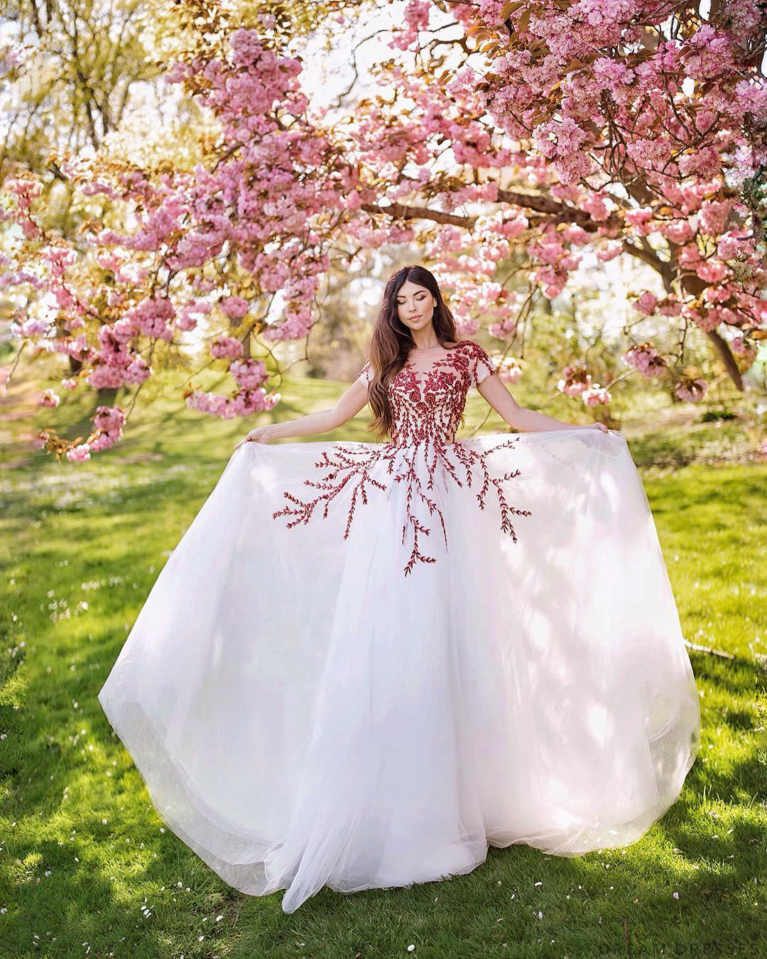 DreamDress By PMN Nakia Wedding Dress Gown A-Line Illusion V-Neck Red Lace Floral Embellishment Sweep Train Cap Sleeves
