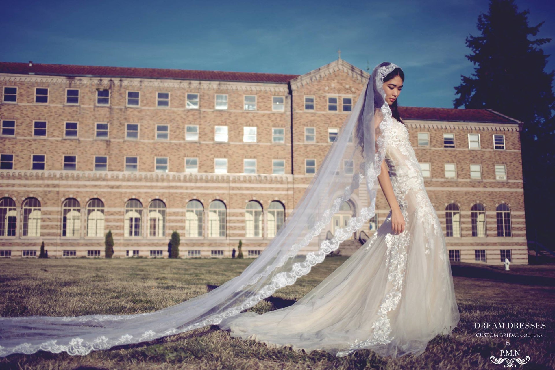 Cathedral Lace Wedding Veil (Style #SS16306) - Dream Dresses by P.M.N
 - 3