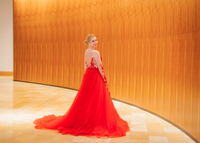 SAMPLE SALE (#FA16200) - Dream Dresses by P.M.N
 - 4